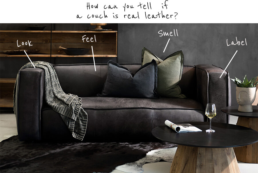 Genuine Leather Couches South Africa All You Need to Know